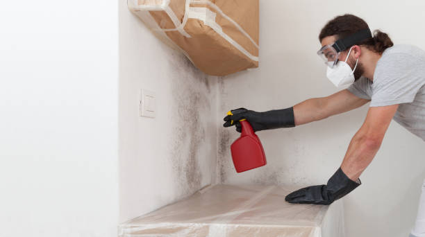 Professional Attic Mold Remediation technician working in Harbert, MI