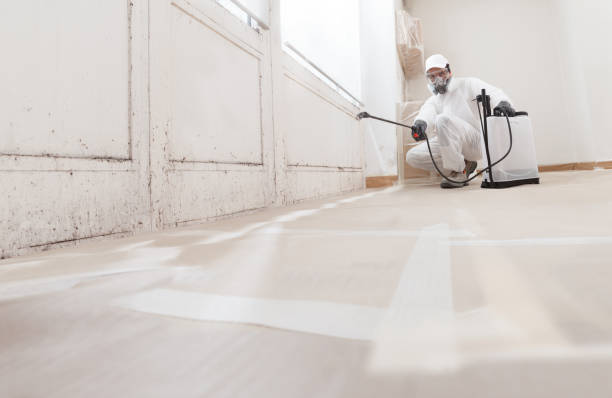 24/7 Emergency Attic Mold Remediation experts in Harbert, MI